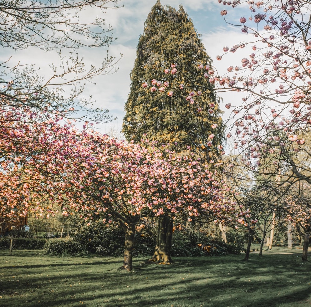 Spring at last!